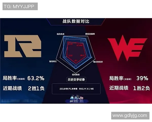 王者荣耀深度解析：WE战队团队协作背后的秘密与策略探讨